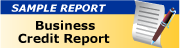 sample reports