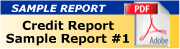 sample report